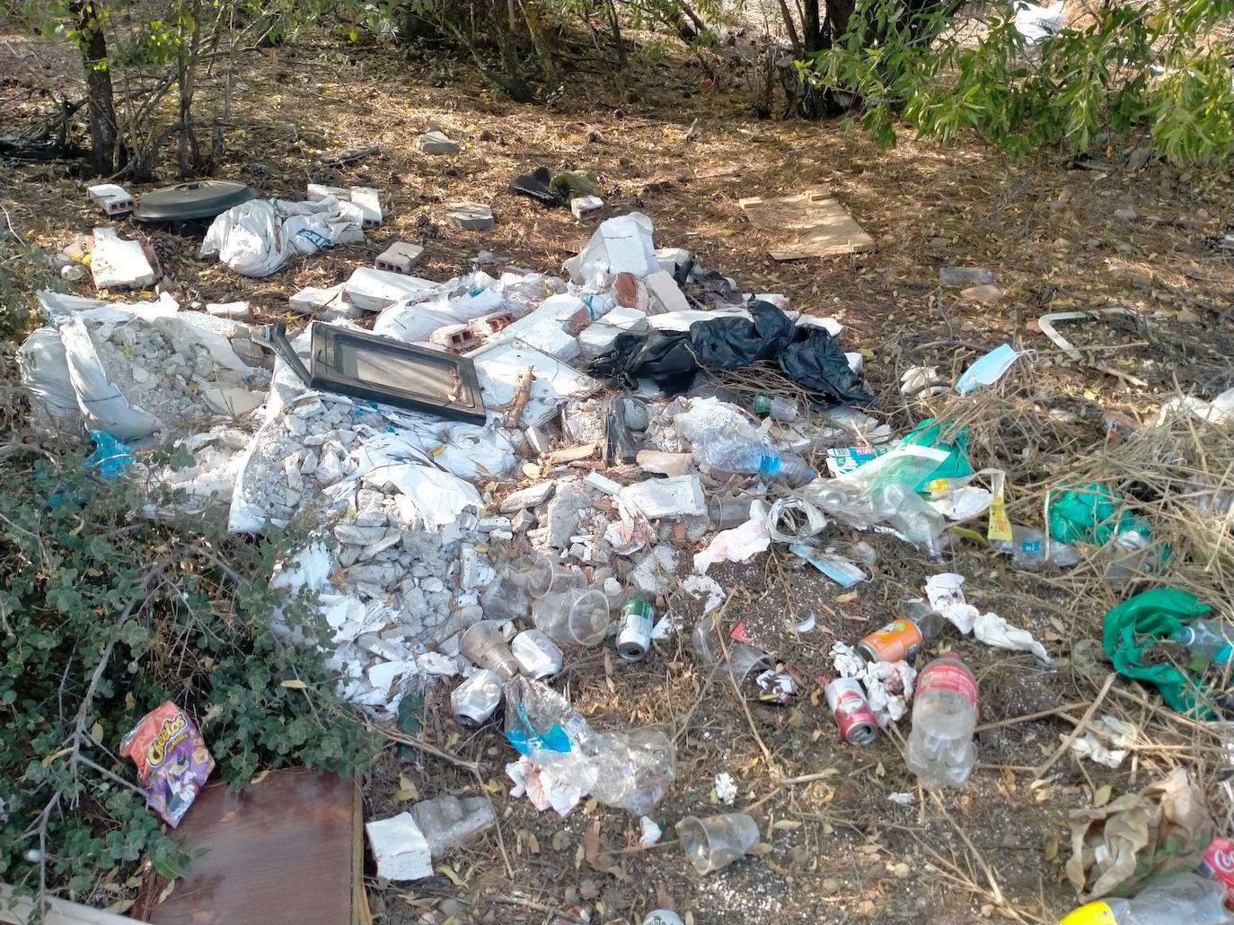 Imagen secundaria 1 - Restos de basura en el entorno de Pinar de Jalón. 