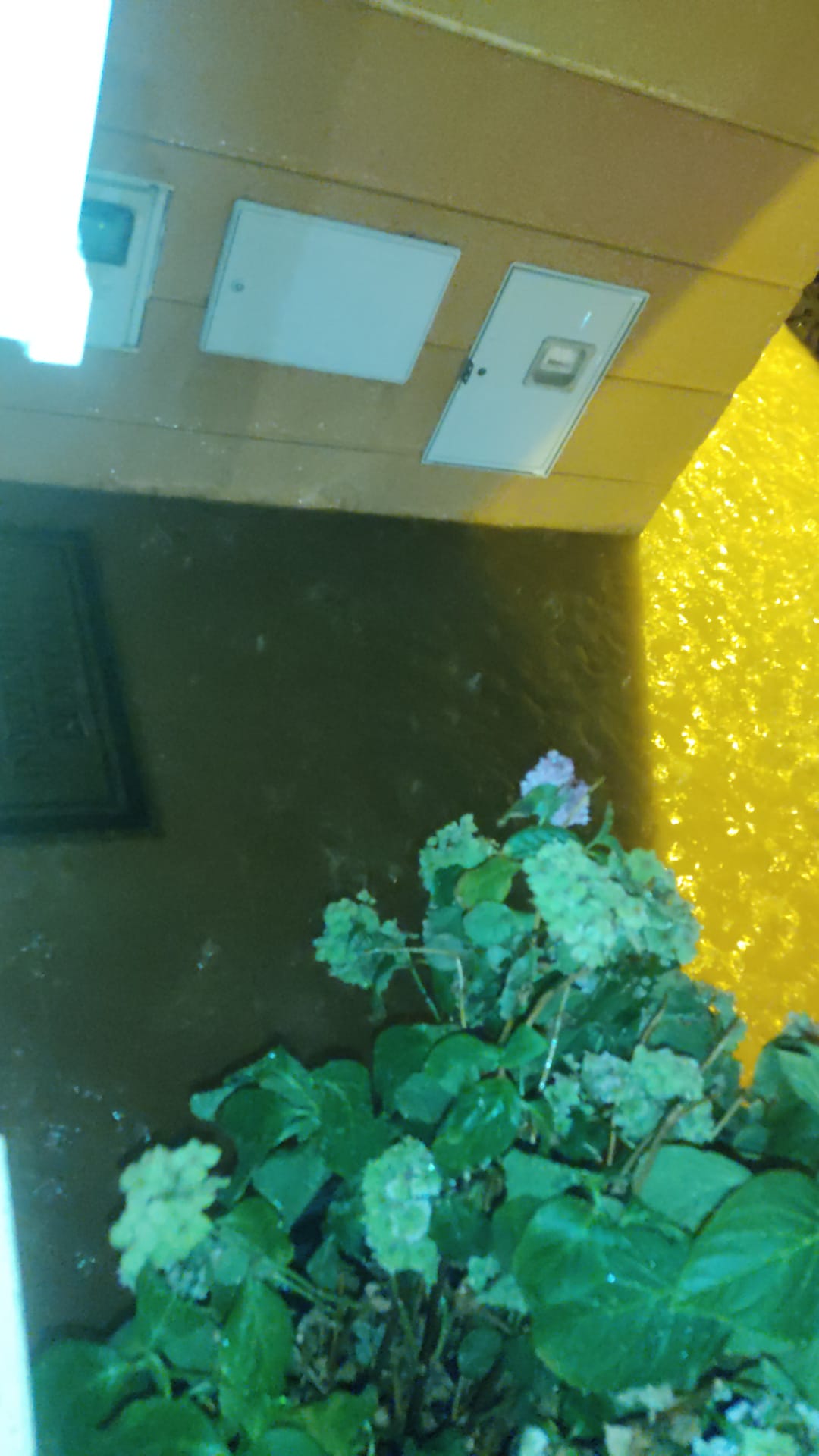 Fotos: Tormenta en Villanubla