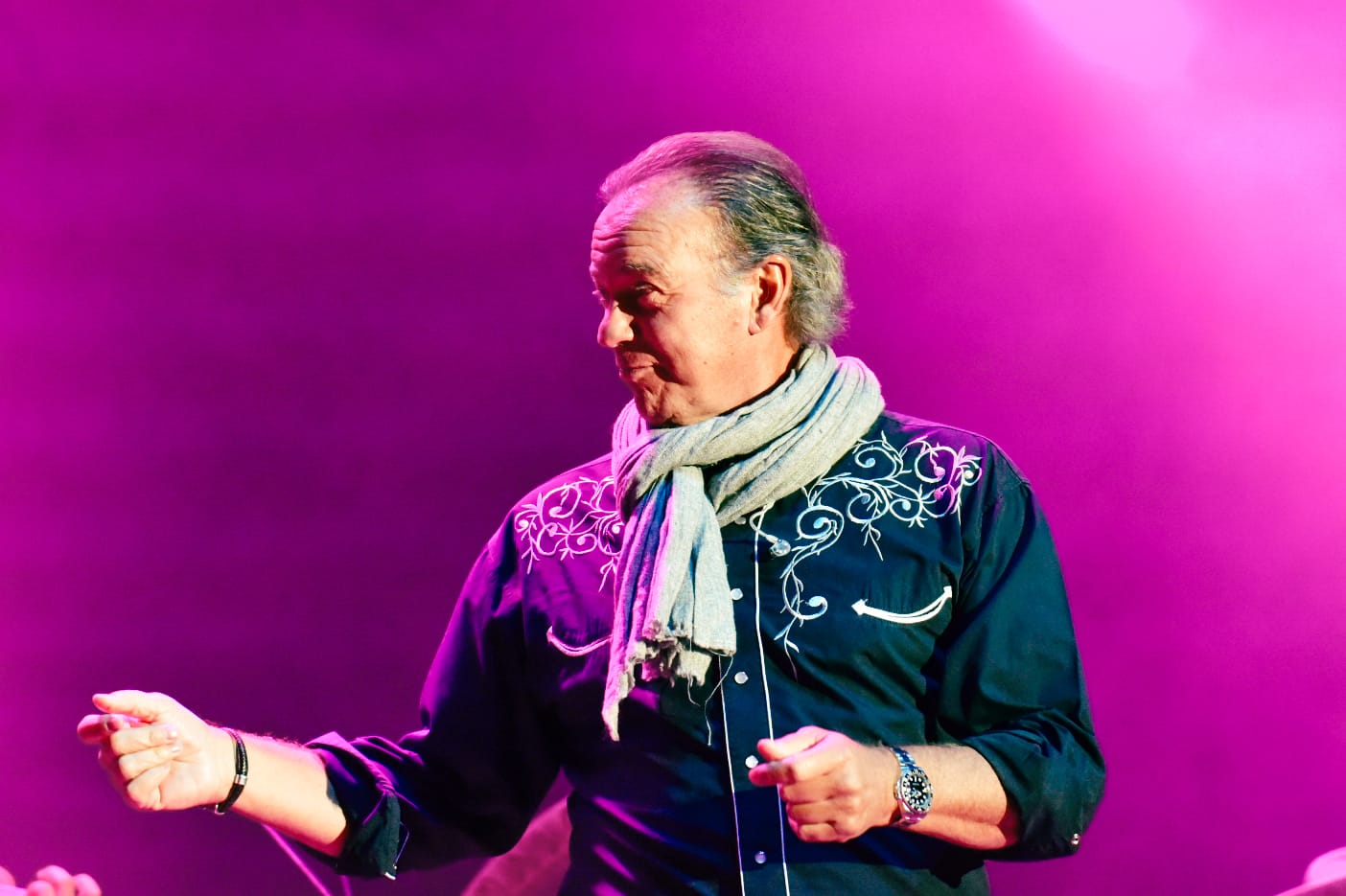 Fotos: Bertín Osborne llena su concierto de Simancas