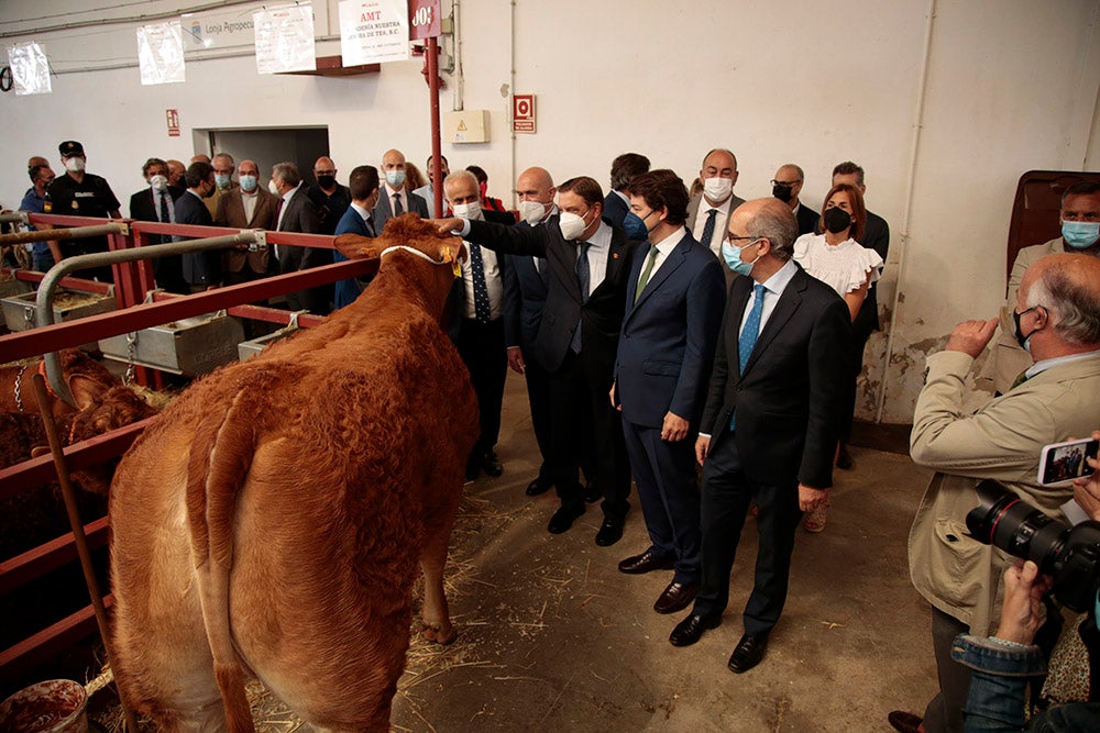 Salamaq, primera gran feria agrícola y ganadera que retoma la actividad tras la pandemia