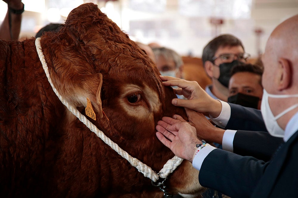 Salamaq, primera gran feria agrícola y ganadera que retoma la actividad tras la pandemia