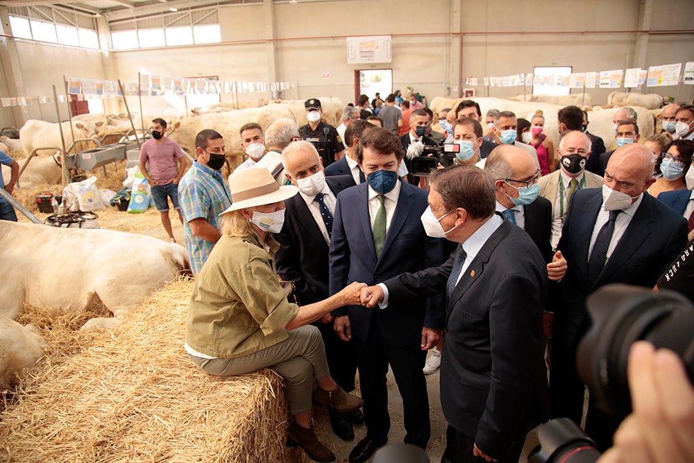 Salamaq, primera gran feria agrícola y ganadera que retoma la actividad tras la pandemia