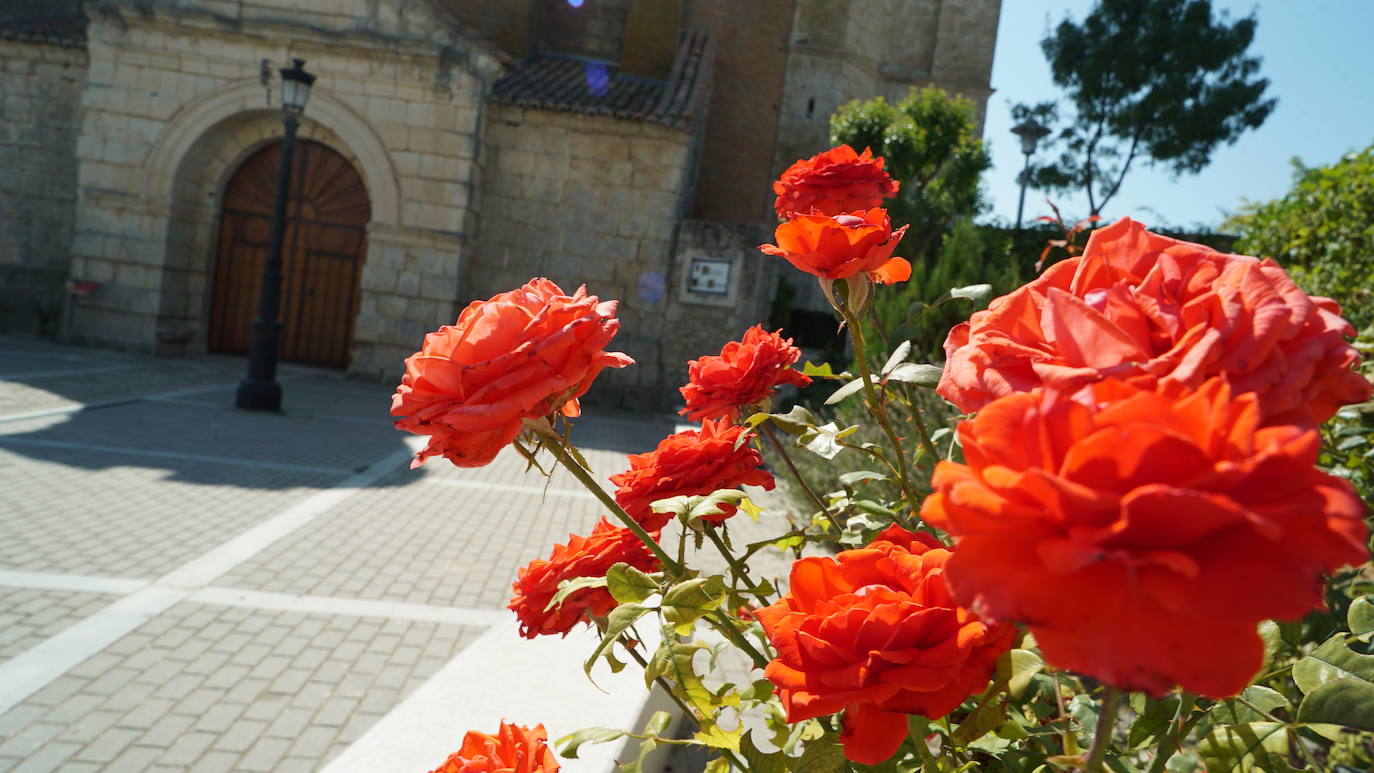 Fotos: ¿Sabes en qué pueblo estoy?