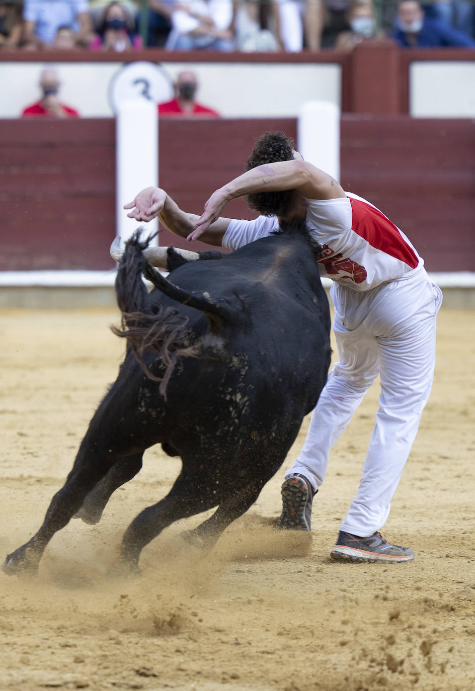 Fotos: Cortes. Liga del Corte Puro en la Plaza de Toros de Valladolid