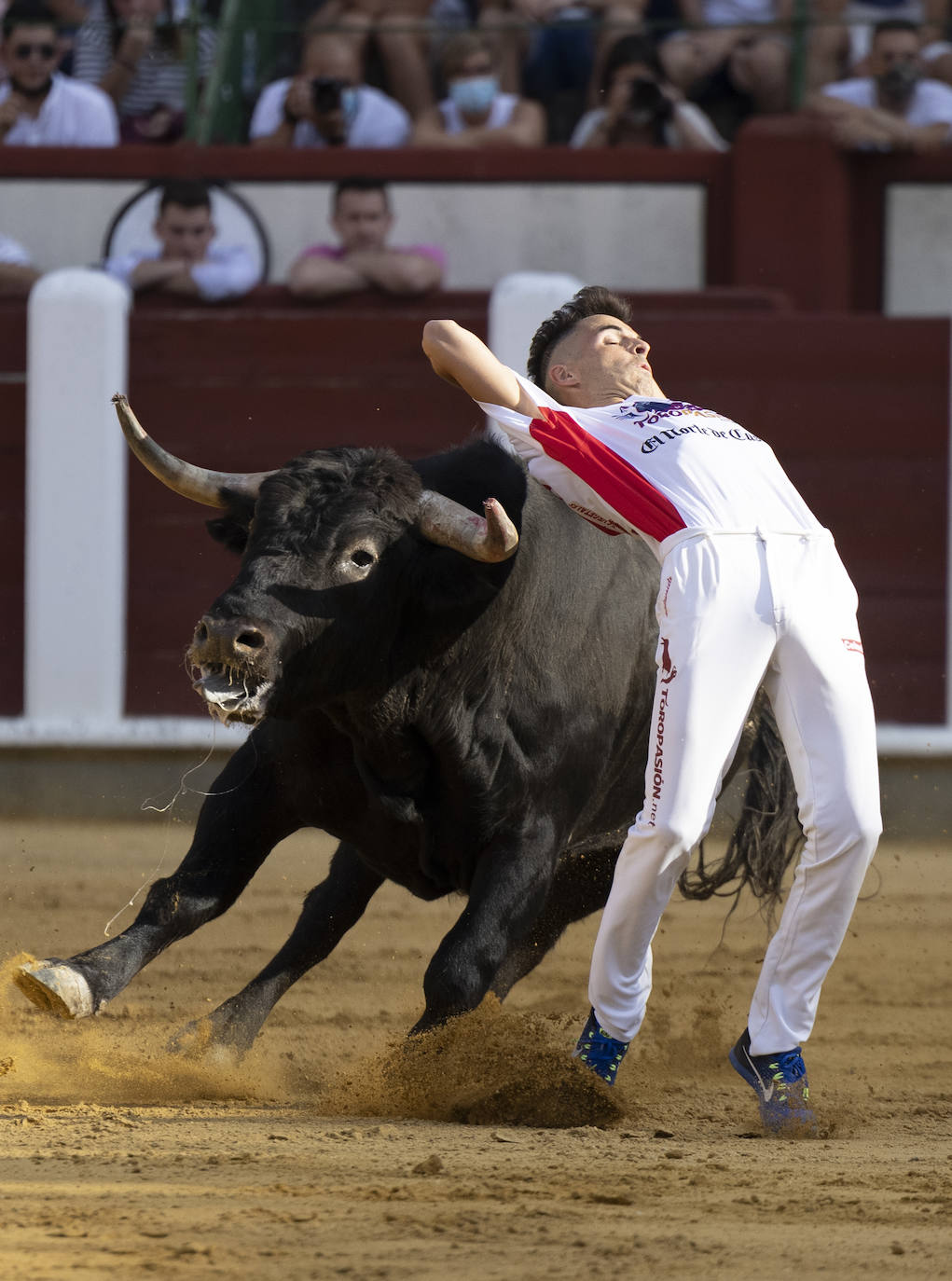 Fotos: Cortes. Liga del Corte Puro en la Plaza de Toros de Valladolid