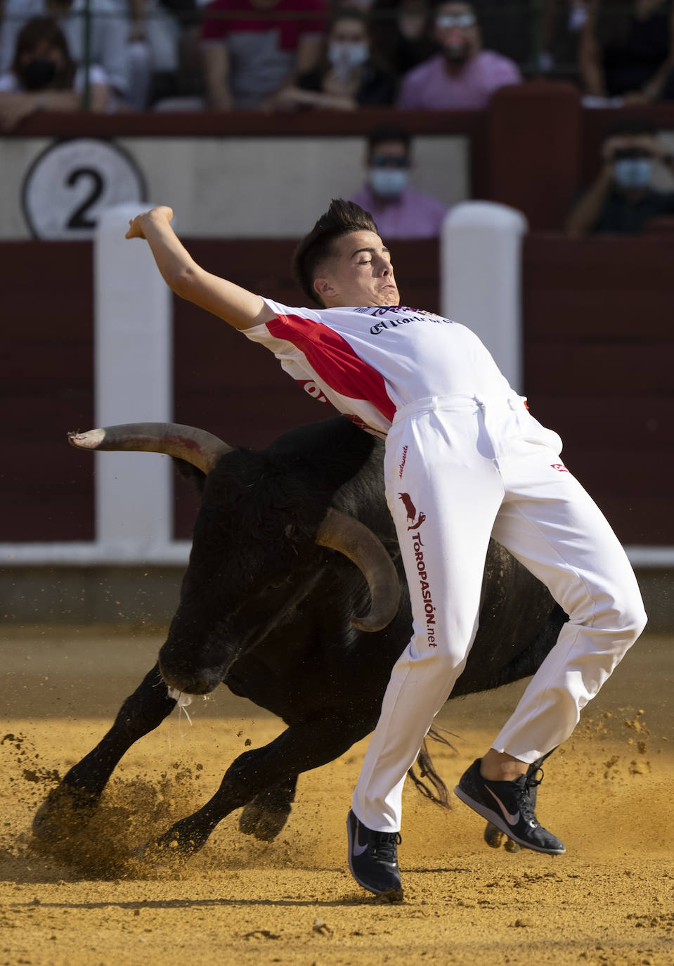 Fotos: Cortes. Liga del Corte Puro en la Plaza de Toros de Valladolid
