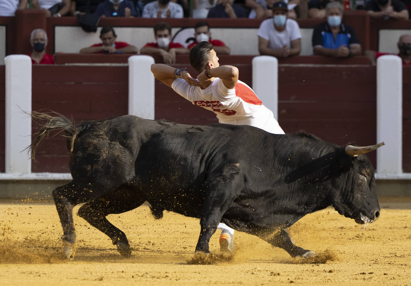 Fotos: Cortes. Liga del Corte Puro en la Plaza de Toros de Valladolid