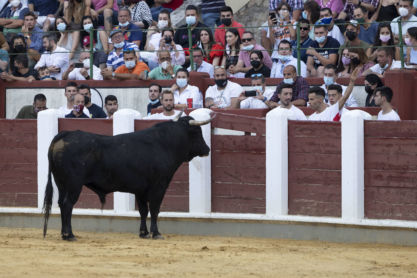 Fotos: Cortes. Liga del Corte Puro en la Plaza de Toros de Valladolid