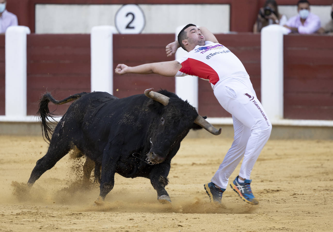 Fotos: Cortes. Liga del Corte Puro en la Plaza de Toros de Valladolid