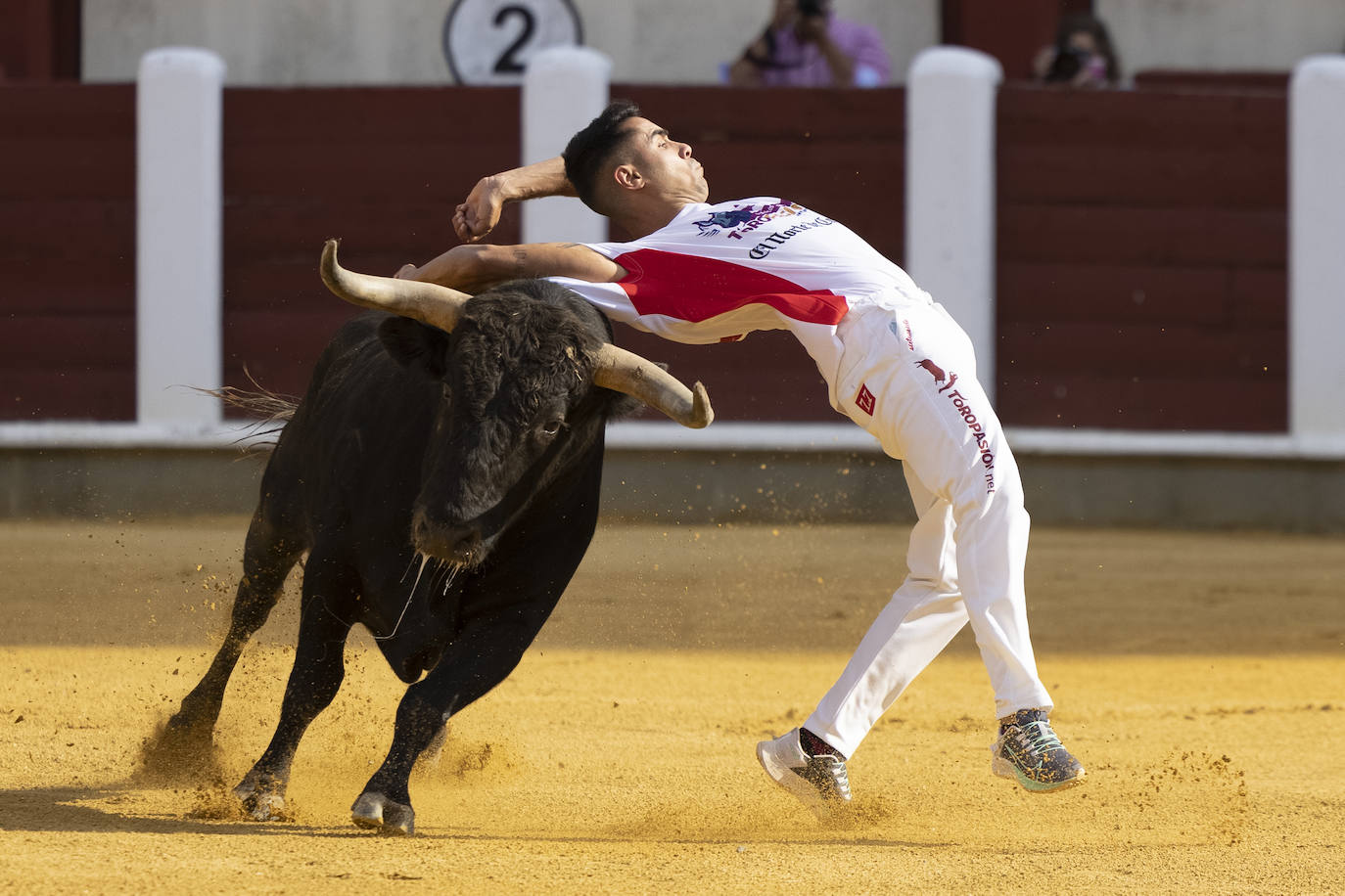 Fotos: Cortes. Liga del Corte Puro en la Plaza de Toros de Valladolid