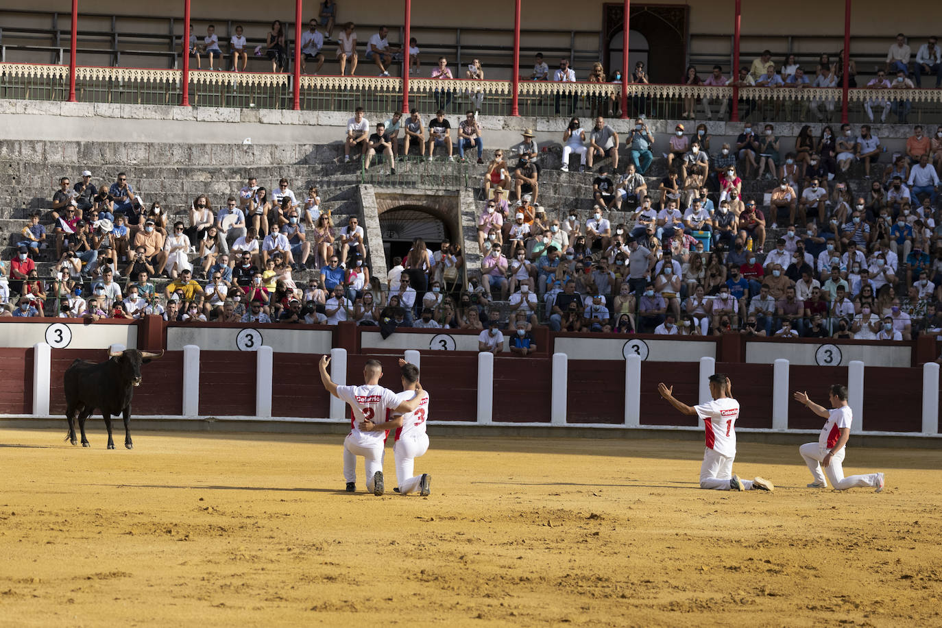 Fotos: Cortes. Liga del Corte Puro en la Plaza de Toros de Valladolid