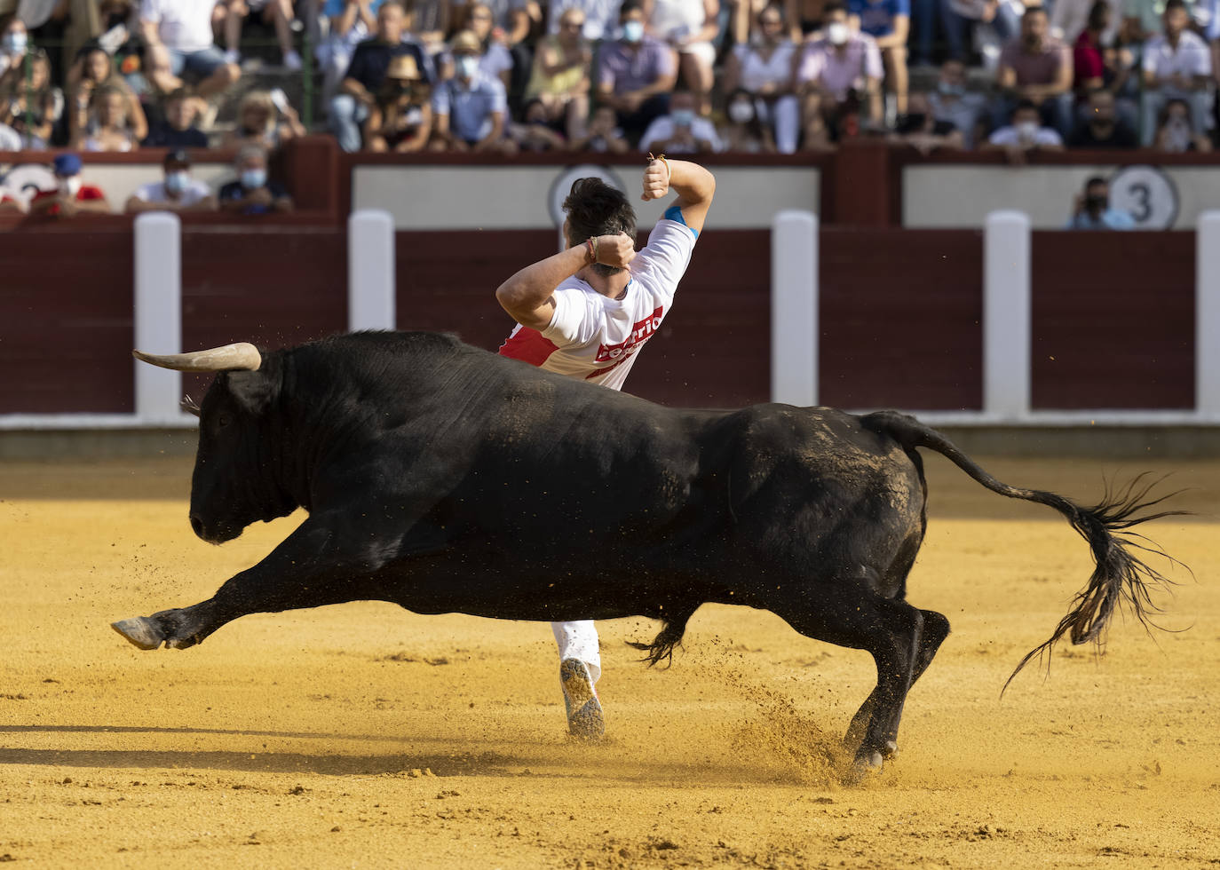 Fotos: Cortes. Liga del Corte Puro en la Plaza de Toros de Valladolid