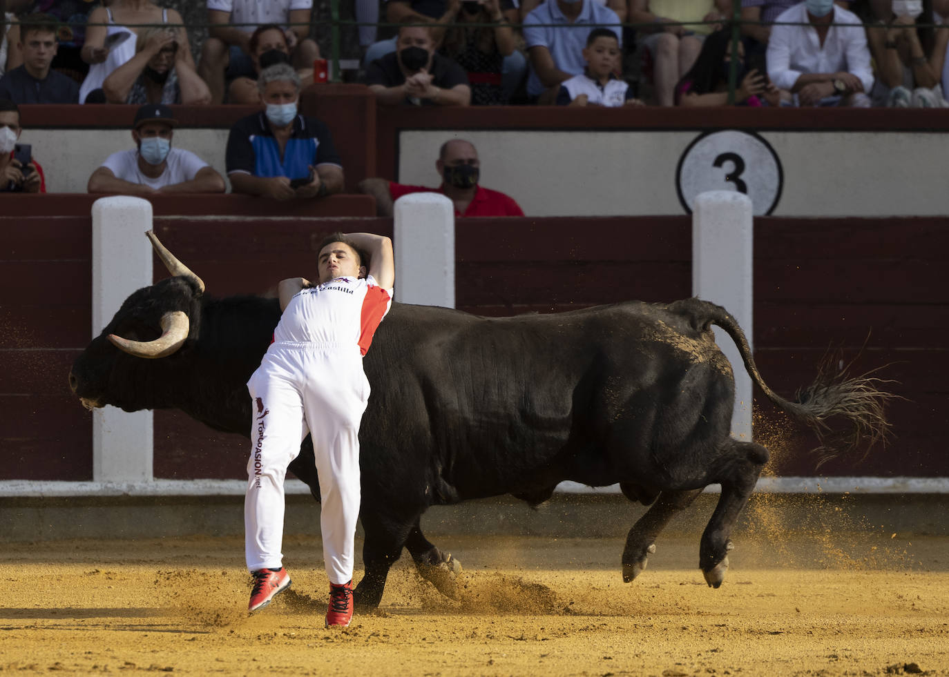 Fotos: Cortes. Liga del Corte Puro en la Plaza de Toros de Valladolid