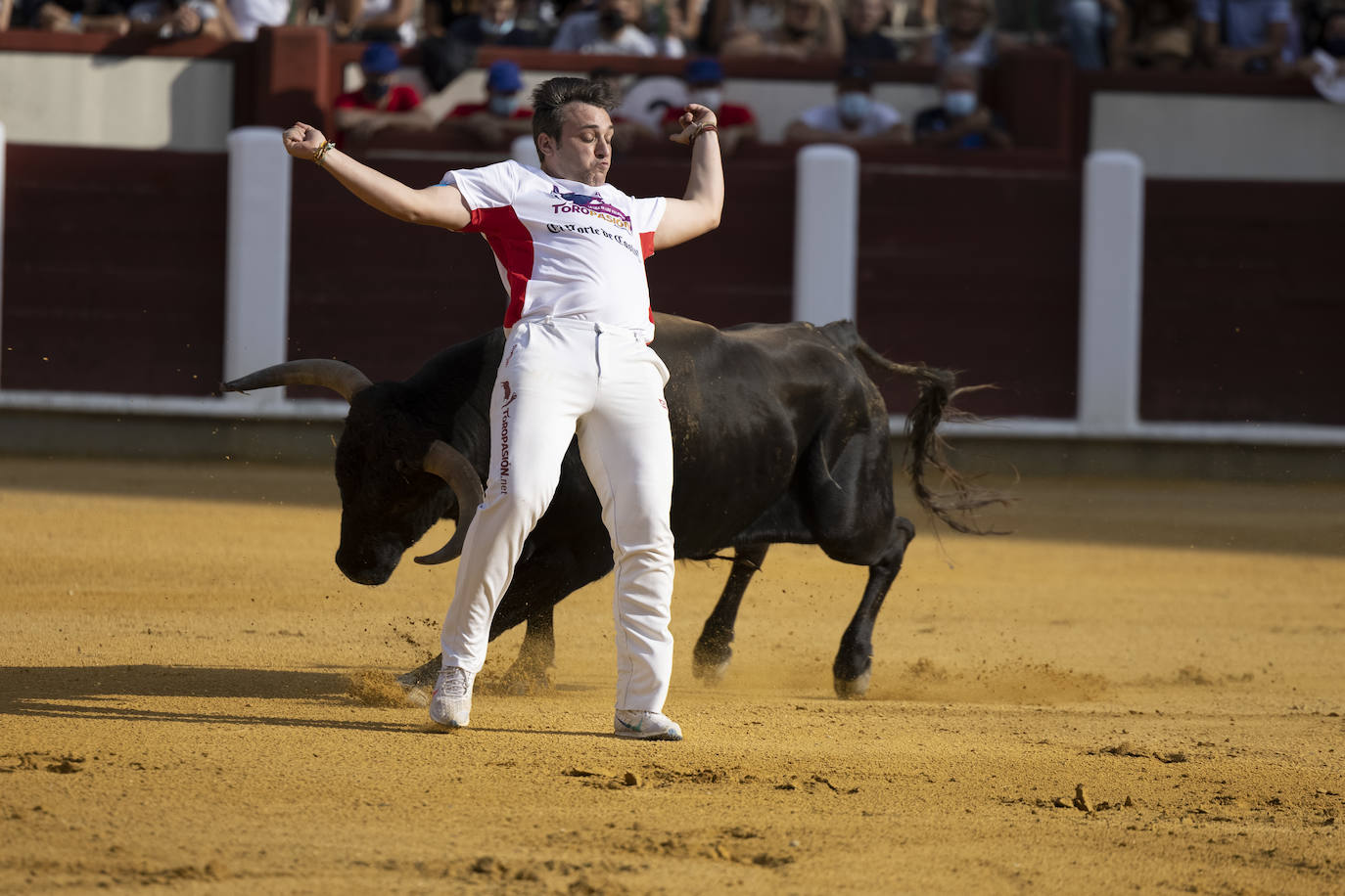 Fotos: Cortes. Liga del Corte Puro en la Plaza de Toros de Valladolid
