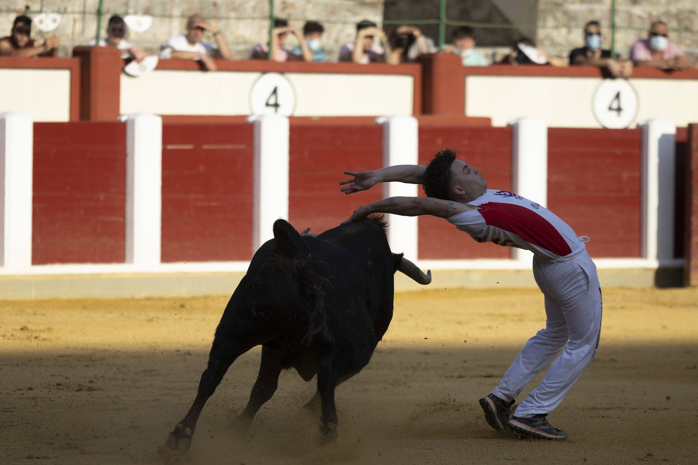 Fotos: Cortes. Liga del Corte Puro en la Plaza de Toros de Valladolid