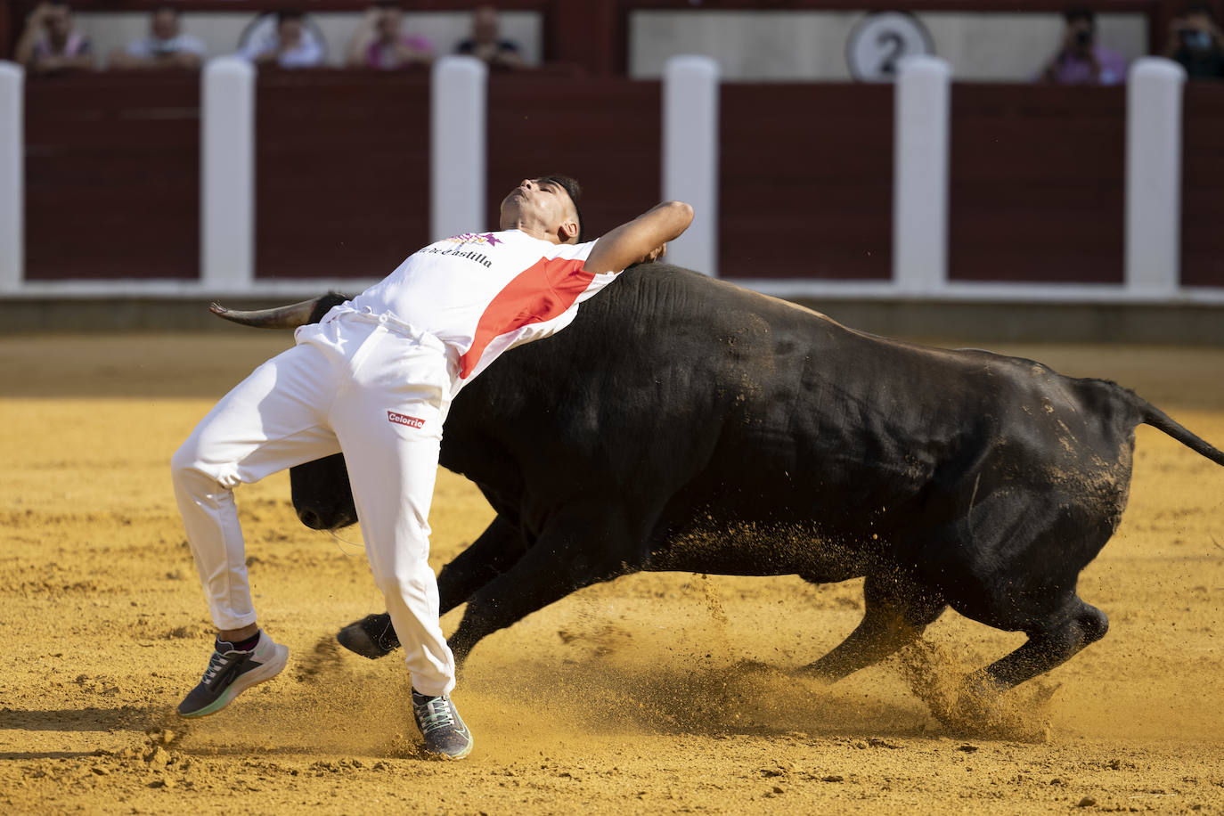 Fotos: Cortes. Liga del Corte Puro en la Plaza de Toros de Valladolid