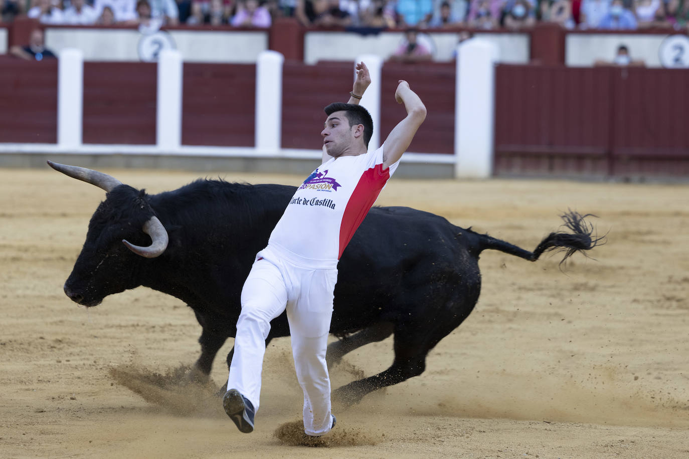 Fotos: Cortes. Liga del Corte Puro en la Plaza de Toros de Valladolid