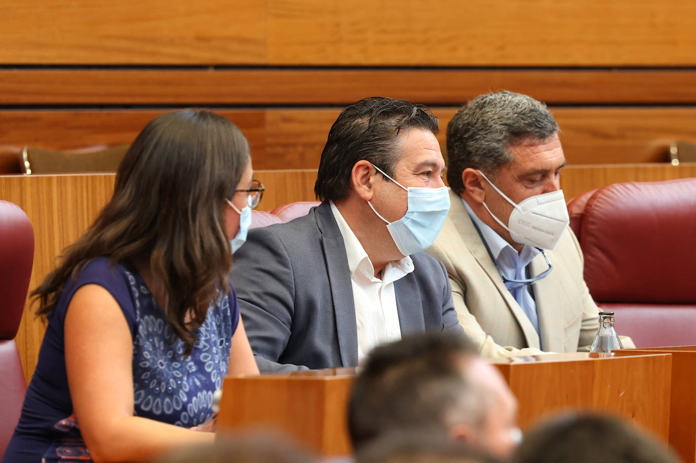 Laura Domínguez (Podemos), Luis Mariano Santos (UPL) y Pedro Pascual (Por Ávila), durante la sesión. 