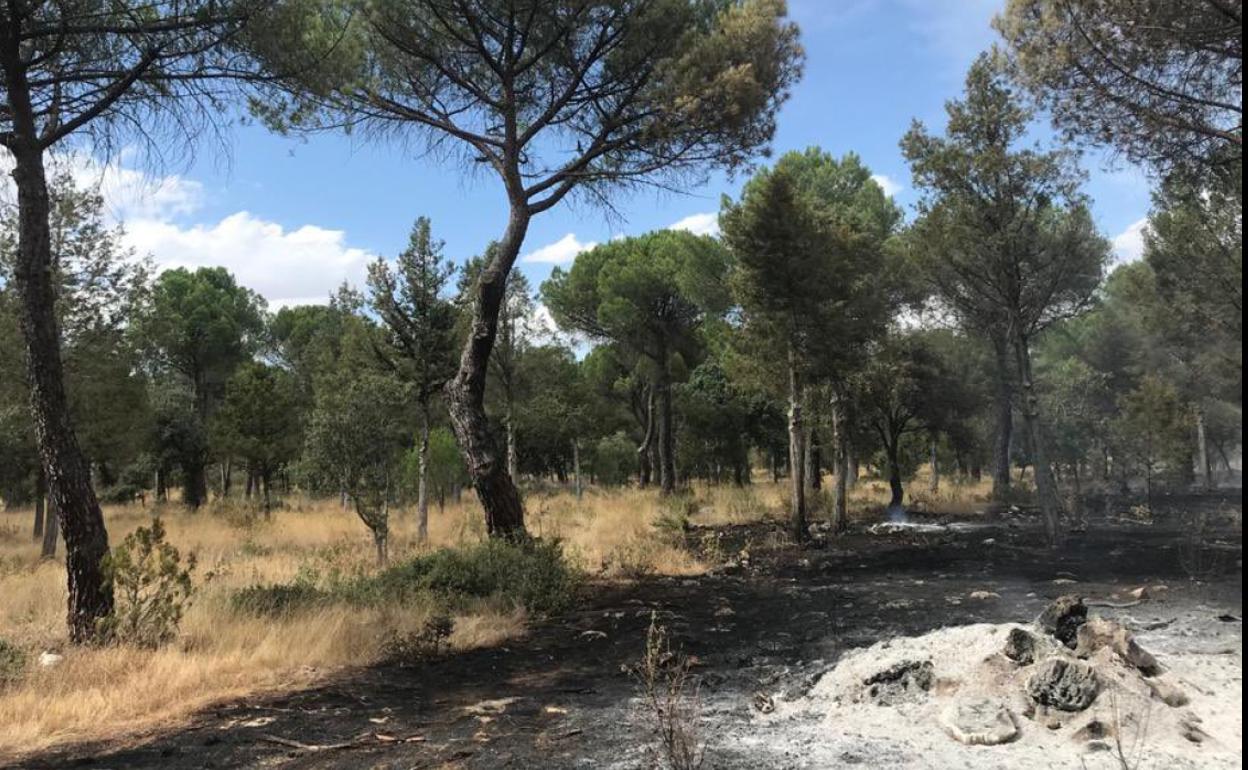 Zona calcinada en Torrescárcela, Valladolid.