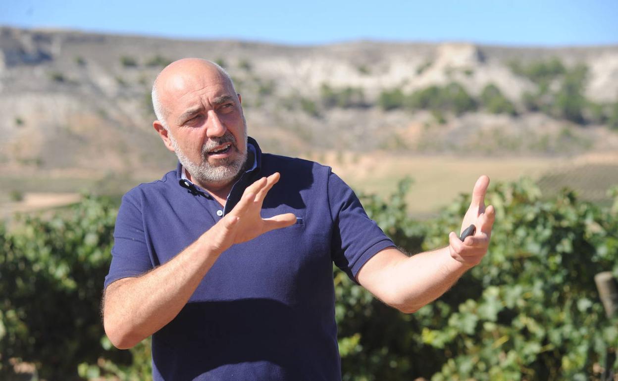 Agustín Alonso en un viñedo de la Ribera del Duero. 