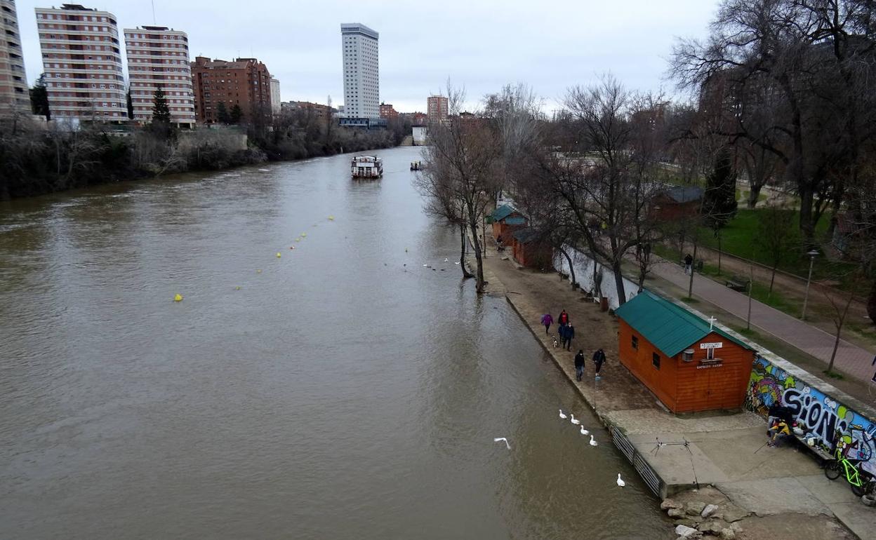 El río Pisuerga a su paso por el puente de Poniente, donde tuvo lugar la intervención.