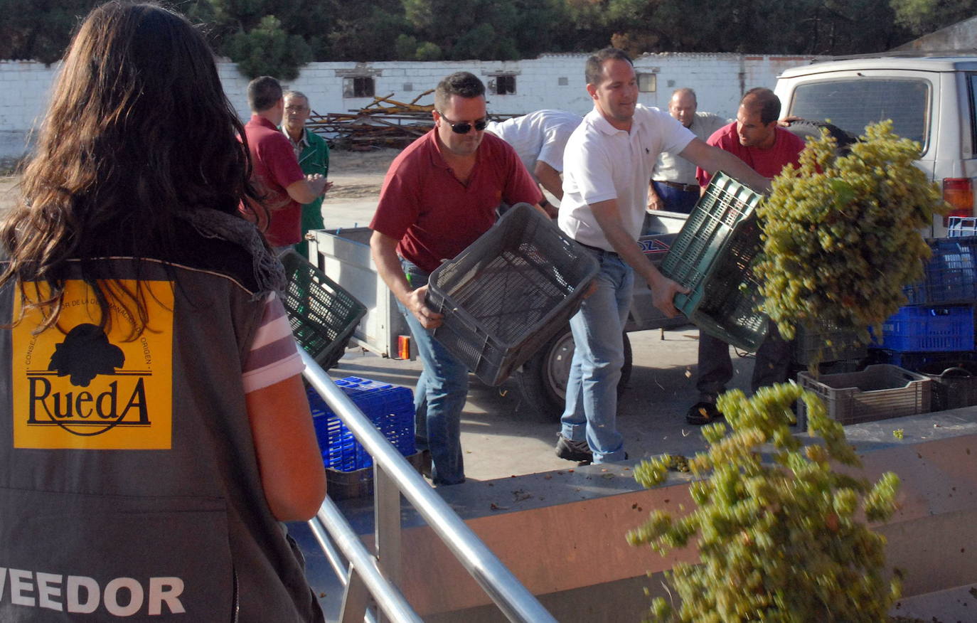 Trabajadores de la DO Rueda transportan la uva.