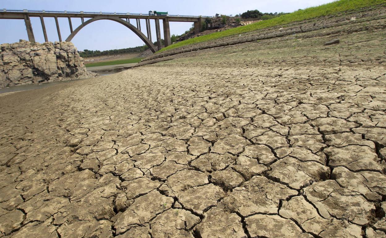 Estado, en agosto, del embalse de Ricobayo en Ricobayo de Alba, Zamora.