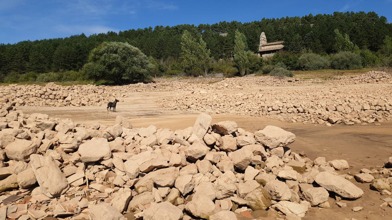 Fotos: Acusado descenso del nivel de agua en el pantano de Aguilar