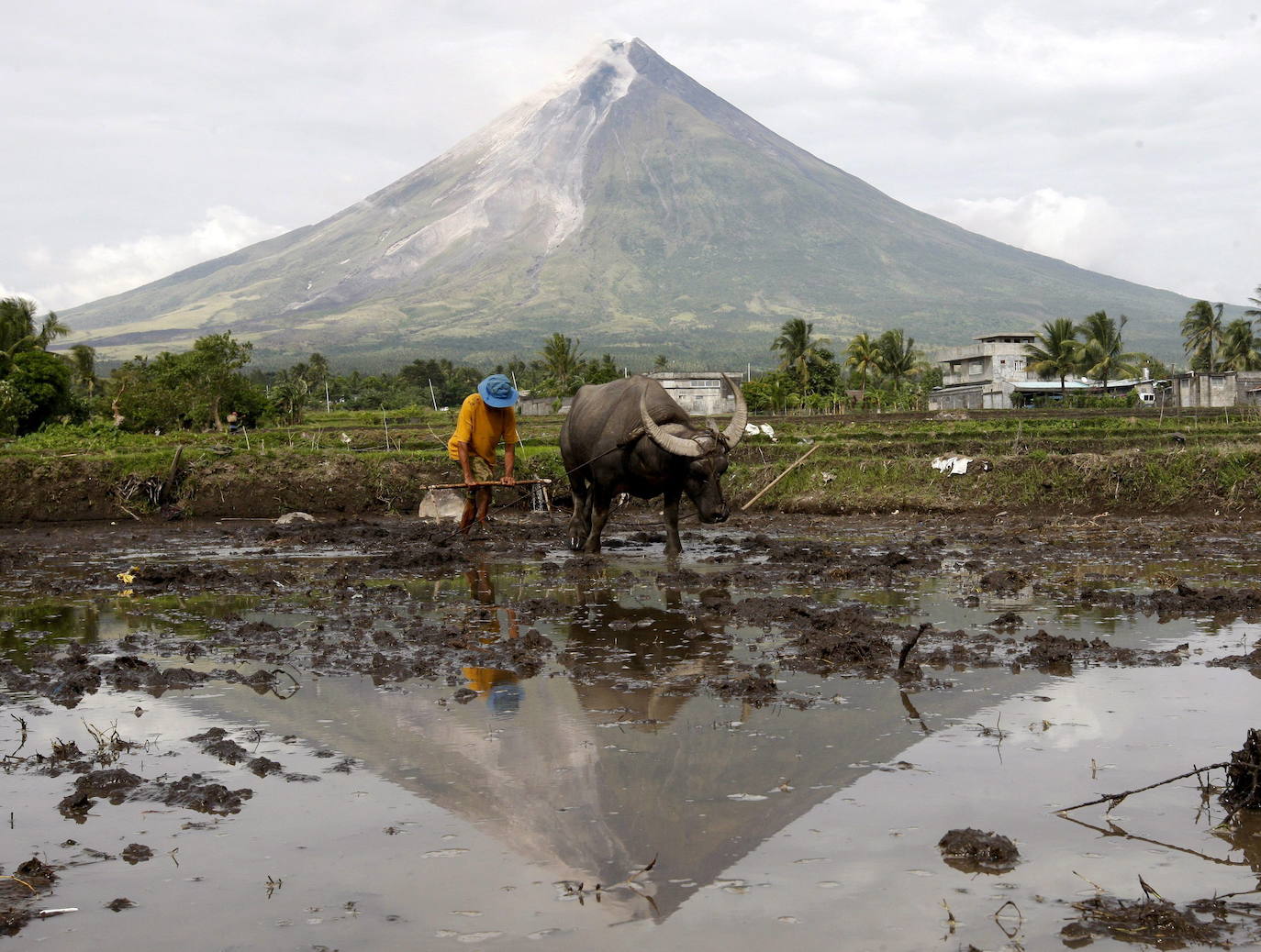 En enero de 2018, más de 60.000 personas tuvieron que ser evacuadas tras la erupción del Mayón y la posterior columna de humo de entre 3 y 5 kilómetros, que estuvo acompañada de la expulsión de material piroclástico. En 2014 había entrado ya en erupción, pero la población temía una actividad similar a la de 1841, año en que el volcán acabó con la vida de 1.200 personas.