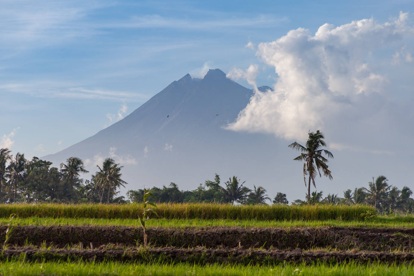 A finales de enero de 2021, el Merapi entraba en erupción. Las columnas de humo, que alcanzaron los 3 kilómetros de altura, expulsaron una mezcla de lava, cenizas y humo. Esta actividad se hizo notar también en forma de temblores y avalanchas de rocas ardientes. Hace once años, el Merapi provocó una auténtica catástrofe, cuando causó la muerte de 347 personas y obligó a la evacuación de otras 400.000.