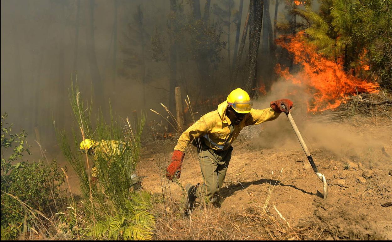 Bomberos forestales durante la labores de extinción del incendio declarado en la provincia de Ávila.