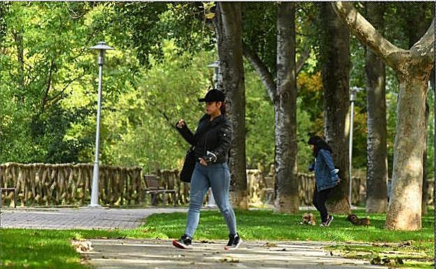 Hojas caídas en los jardines de la ribera próximos al Puente Colgante .