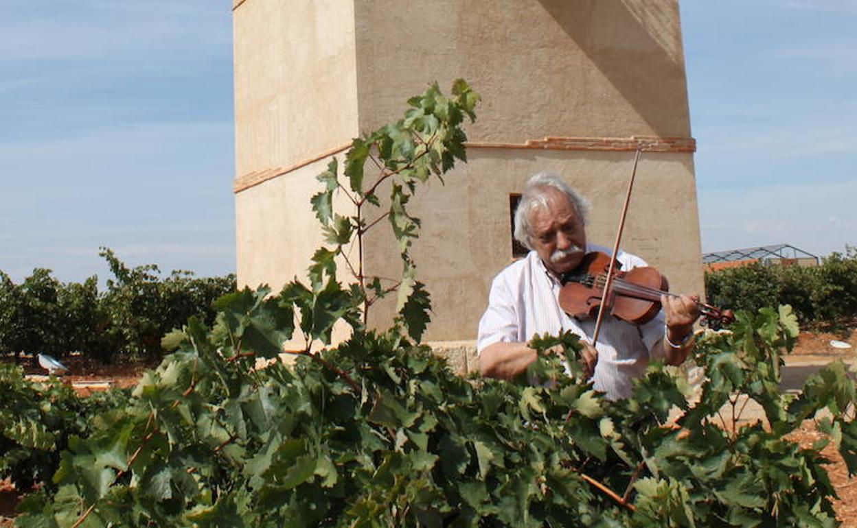 El bodeguero Juan Antonio Fernández toca el violín en la viña antes de empezar la vendimia. 