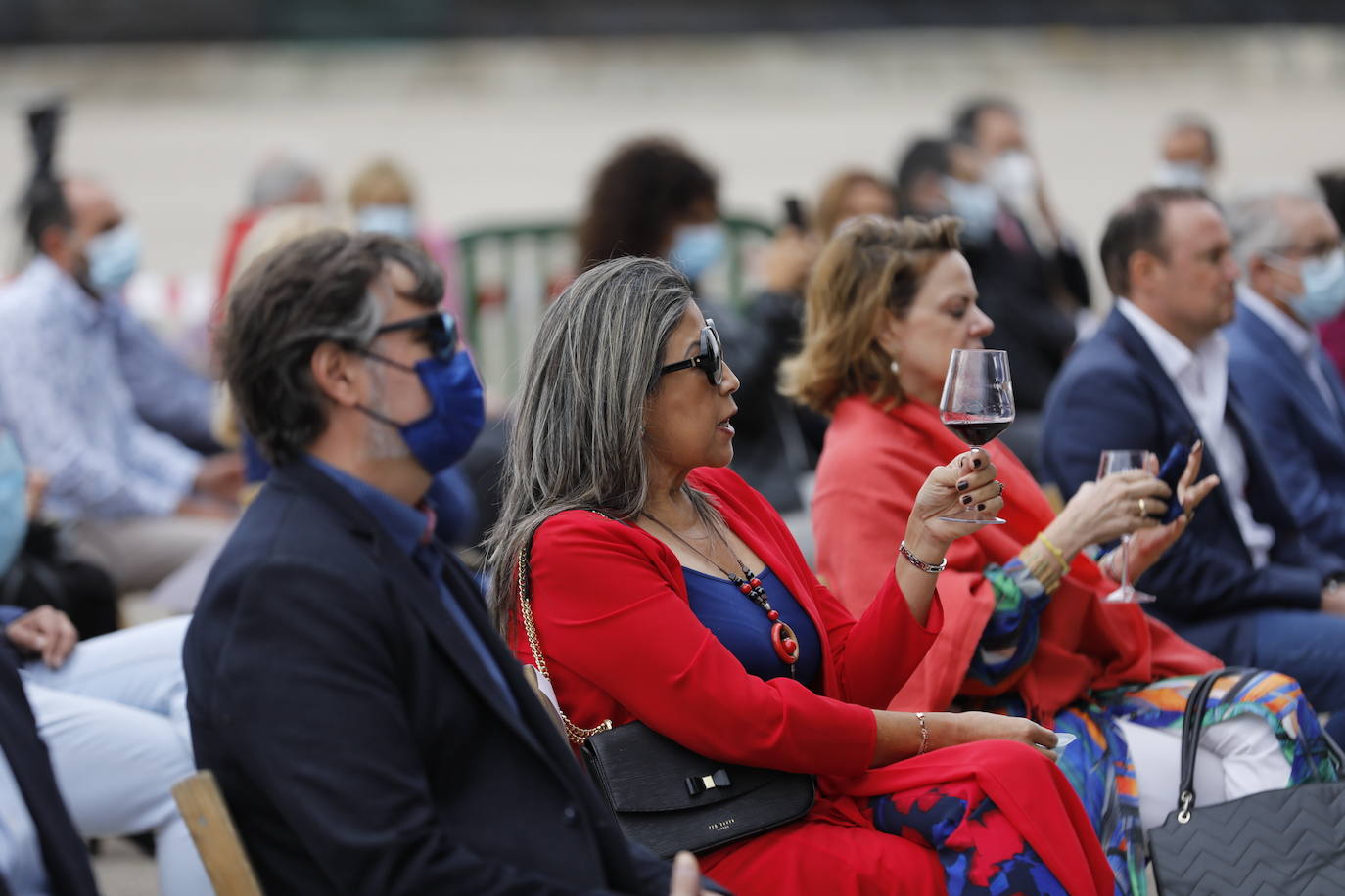 Fotos: IV Fiesta de la Vendimia de la Ribera del Duero