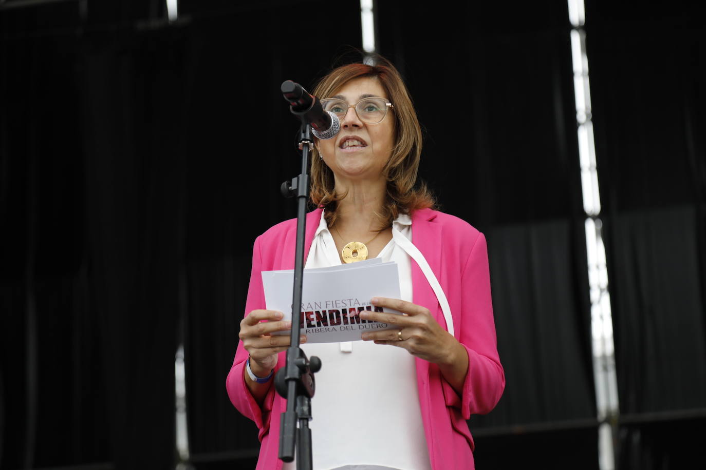 Fotos: IV Fiesta de la Vendimia de la Ribera del Duero