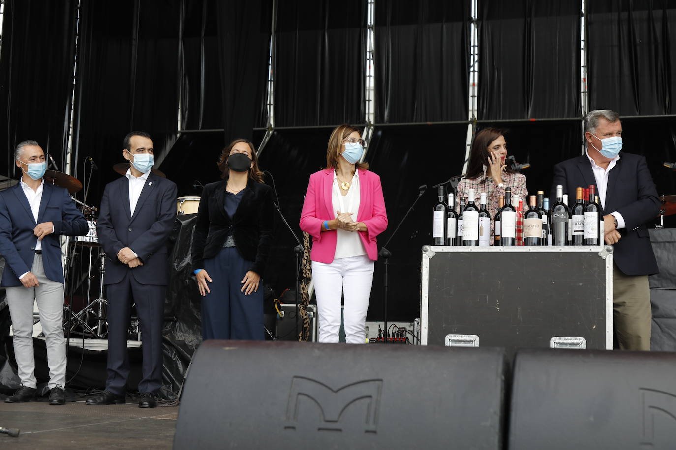 Fotos: IV Fiesta de la Vendimia de la Ribera del Duero