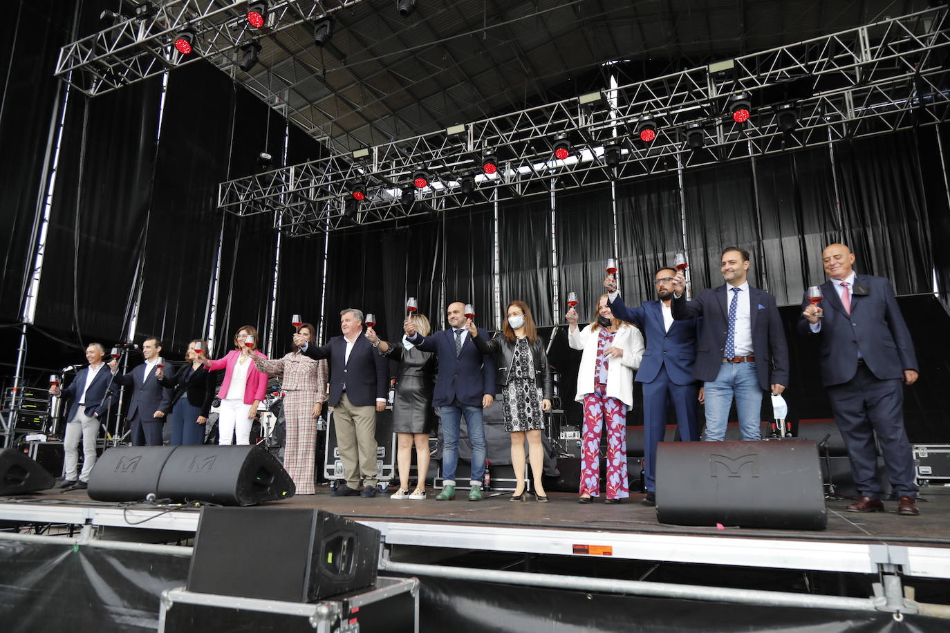 Fotos: IV Fiesta de la Vendimia de la Ribera del Duero