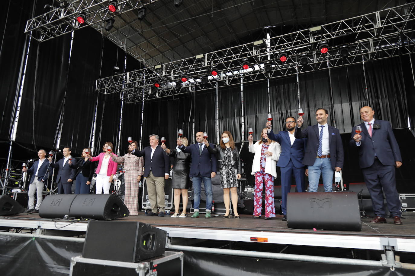 Fotos: IV Fiesta de la Vendimia de la Ribera del Duero