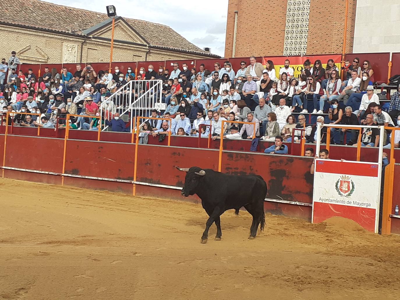 Fotos: Concurso de cortes Villa de Mayorga