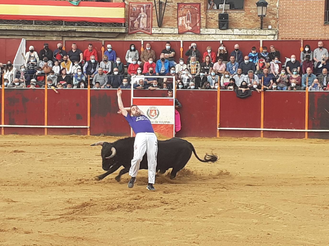 Fotos: Concurso de cortes Villa de Mayorga