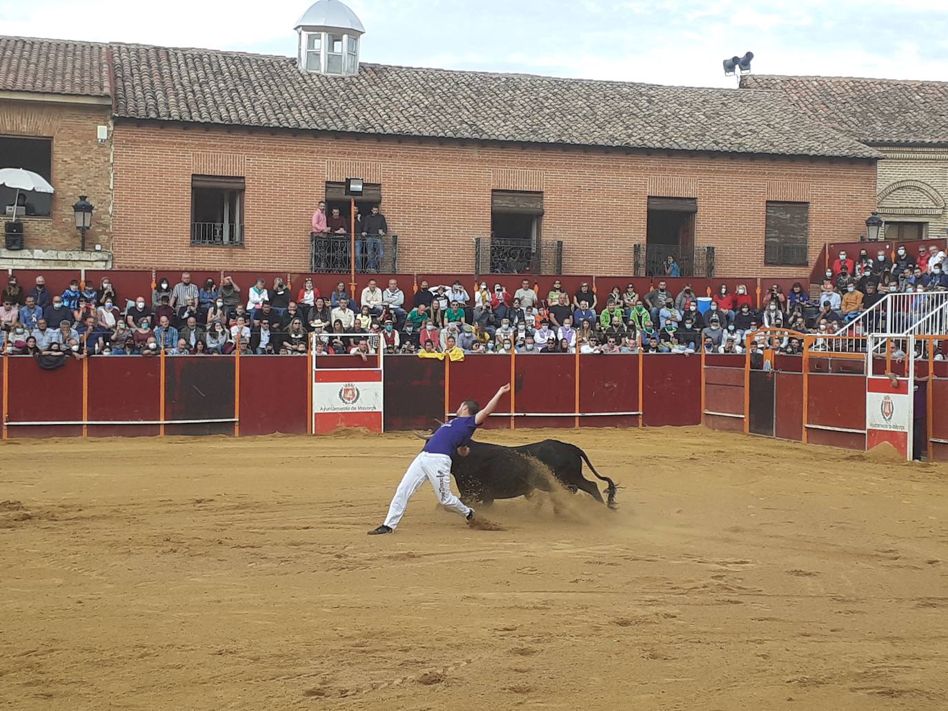 Fotos: Concurso de cortes Villa de Mayorga