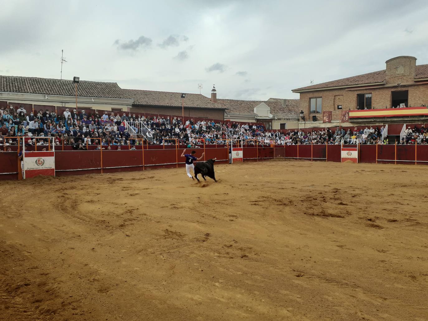 Fotos: Concurso de cortes Villa de Mayorga