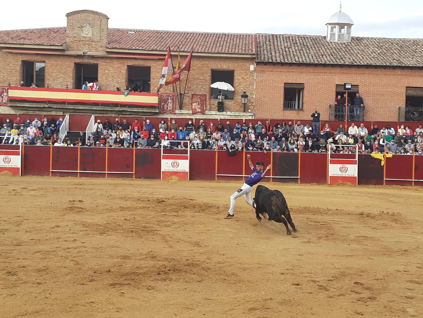 Fotos: Concurso de cortes Villa de Mayorga