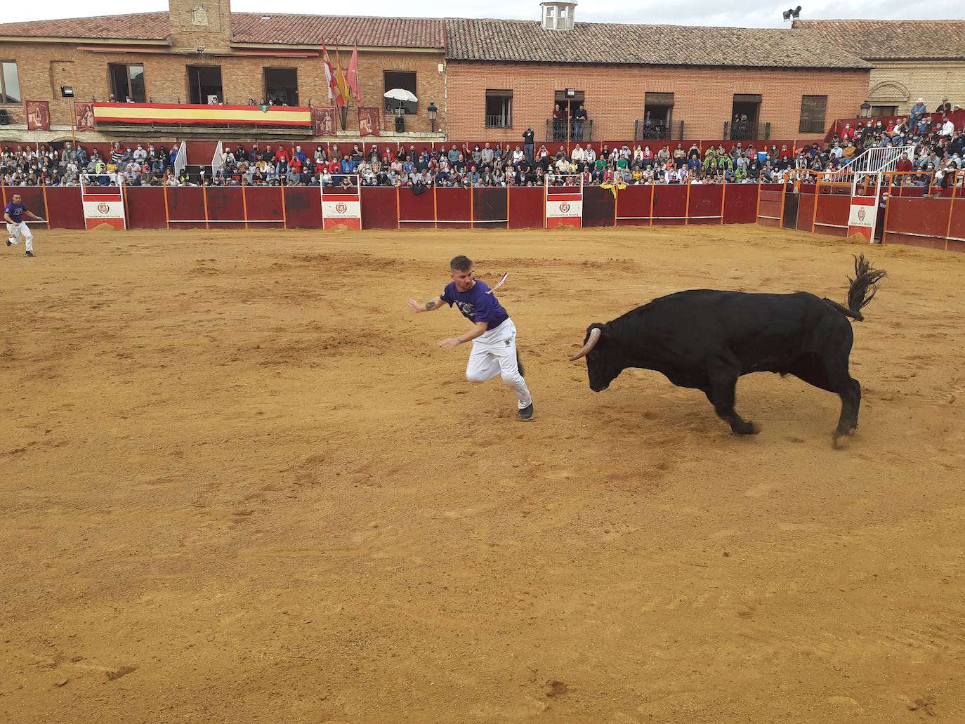 Fotos: Concurso de cortes Villa de Mayorga