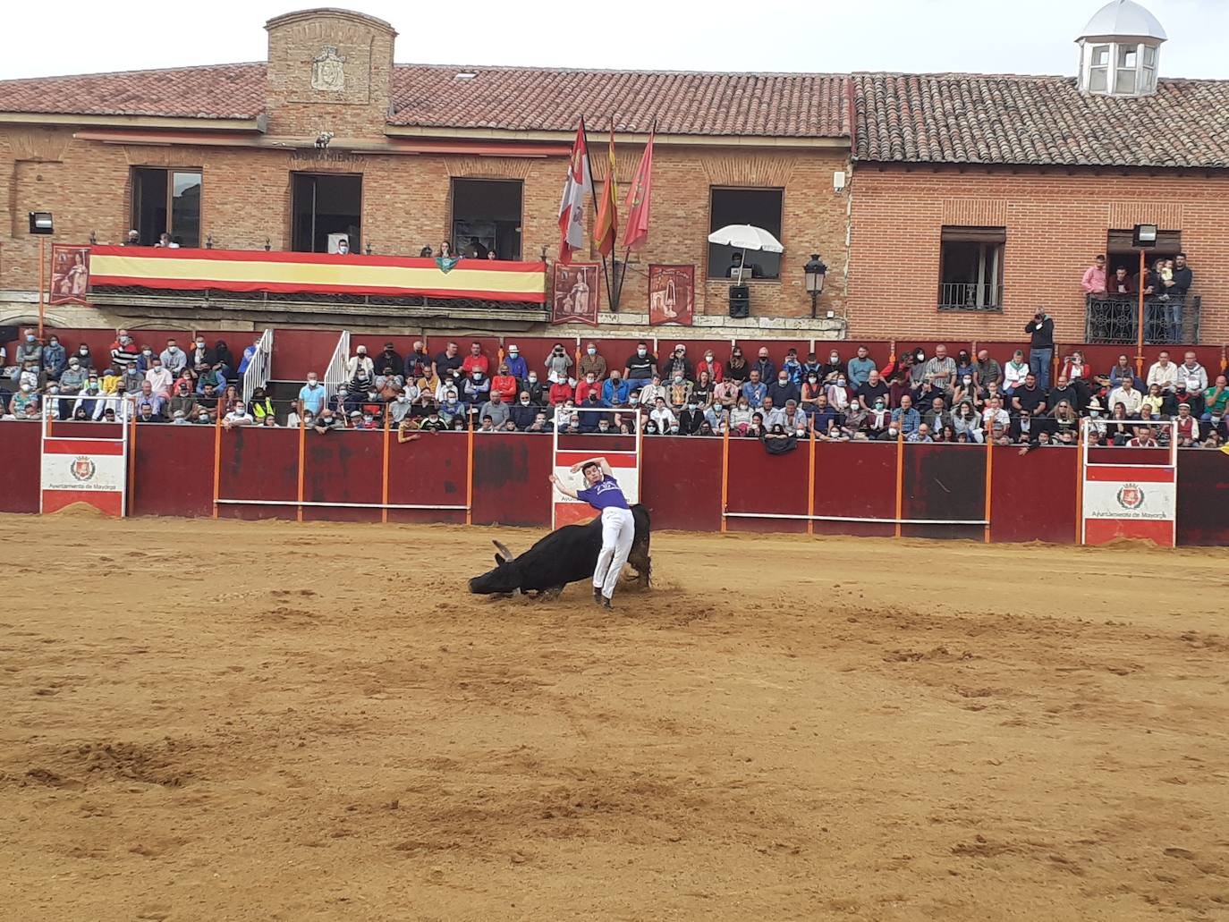 Fotos: Concurso de cortes Villa de Mayorga