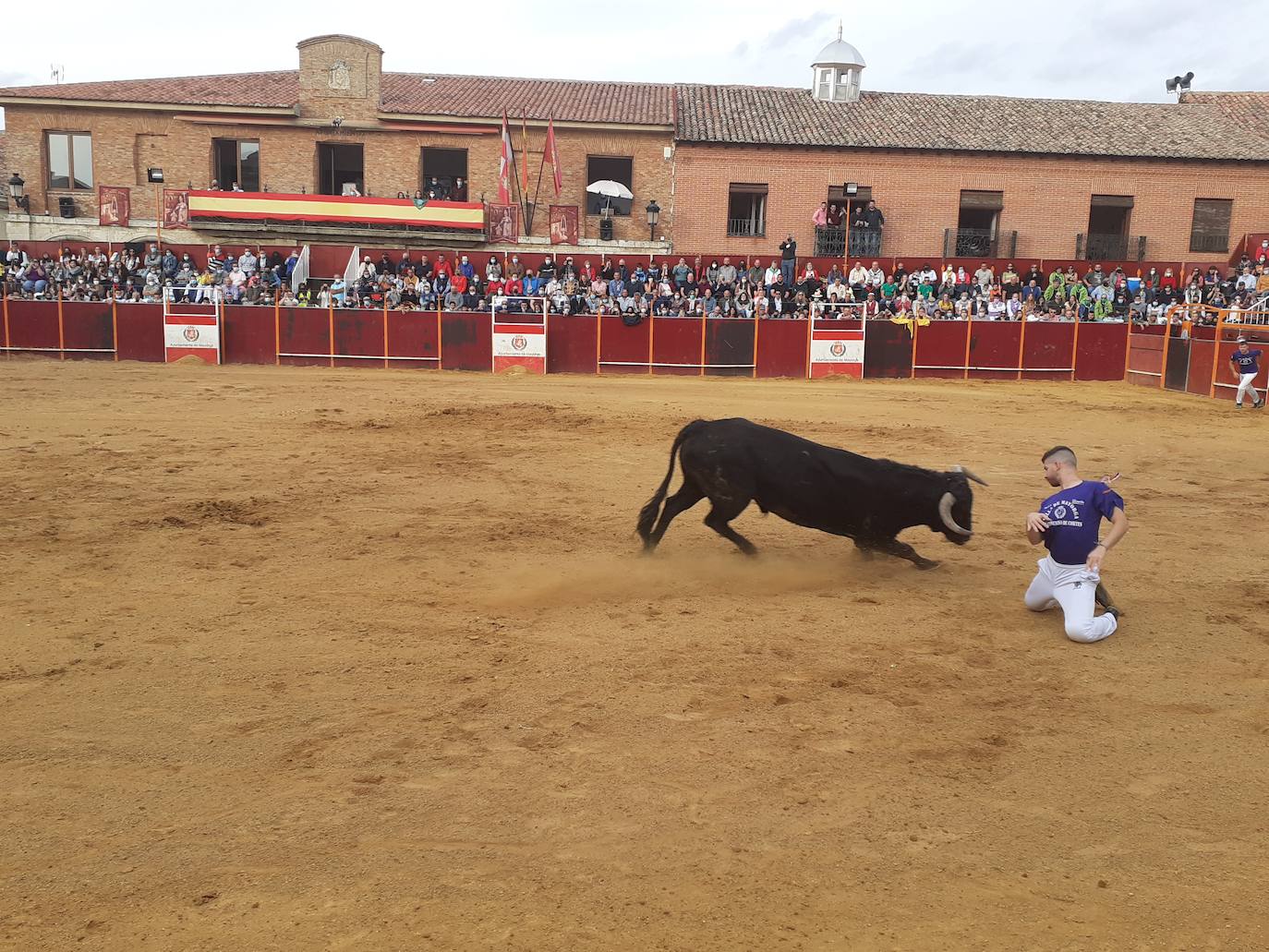 Fotos: Concurso de cortes Villa de Mayorga