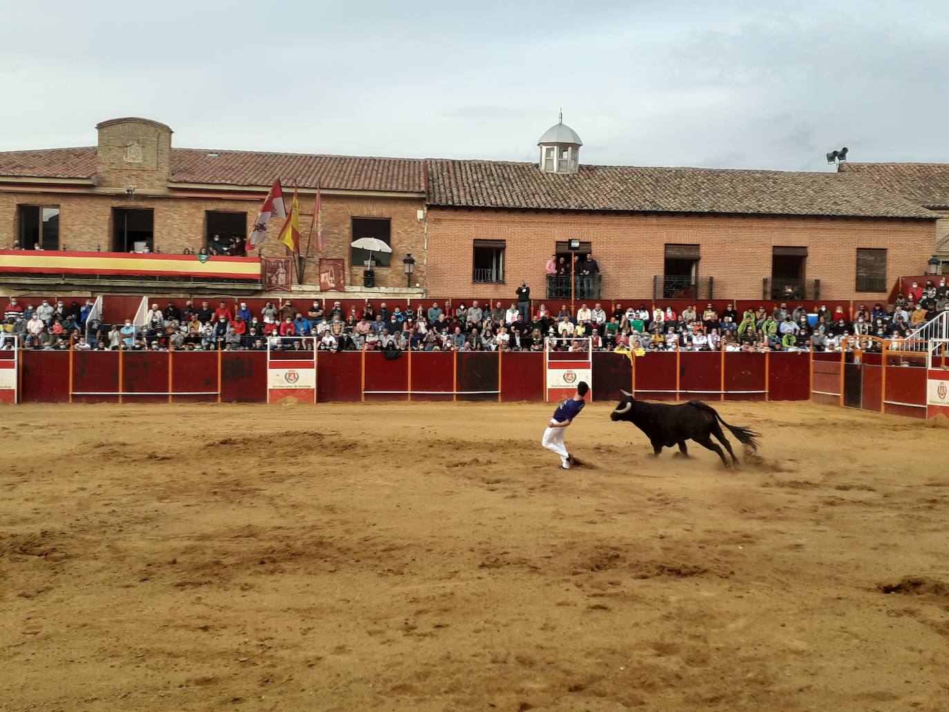 Fotos: Concurso de cortes Villa de Mayorga