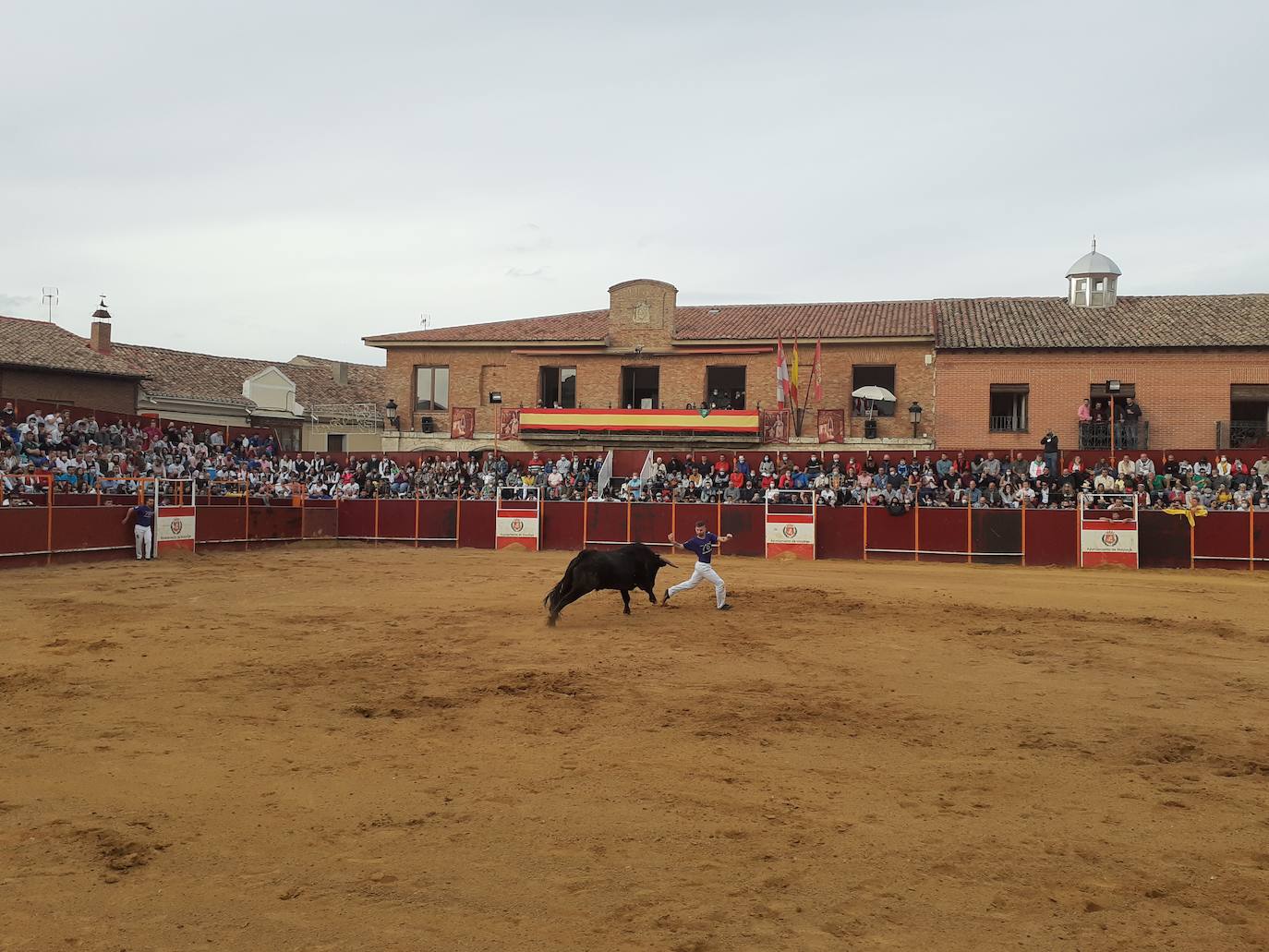 Fotos: Concurso de cortes Villa de Mayorga