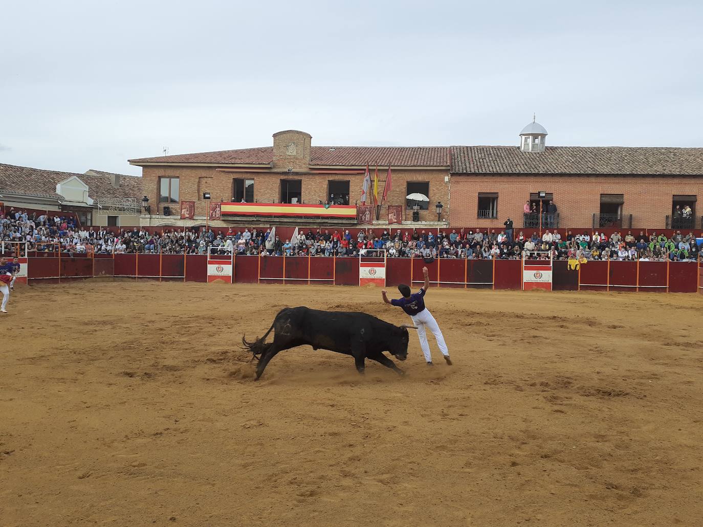 Fotos: Concurso de cortes Villa de Mayorga