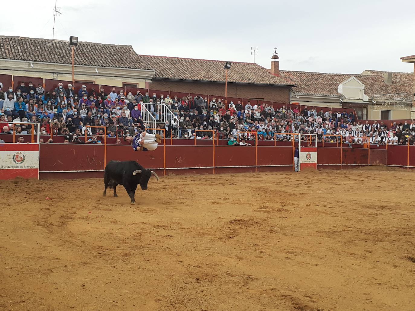 Fotos: Concurso de cortes Villa de Mayorga